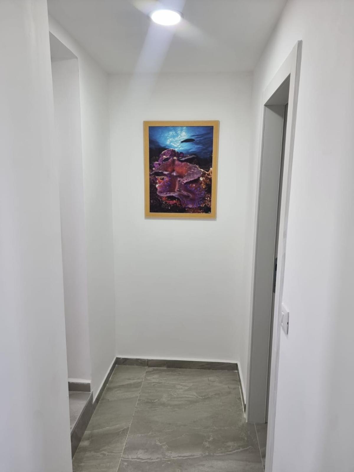 דירת גג נוף המפרץ 1105-6 Daire Eilat Dış mekan fotoğraf